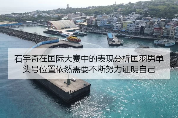 石宇奇在国际大赛中的表现分析国羽男单头号位置依然需要不断努力证明自己