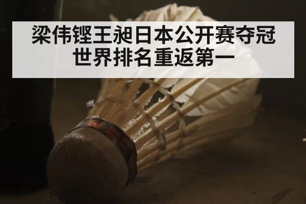 梁伟铿王昶日本公开赛夺冠世界排名重返第一